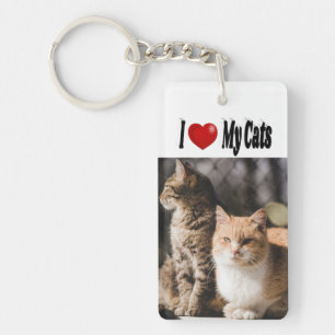 J'aime mes chats Photo