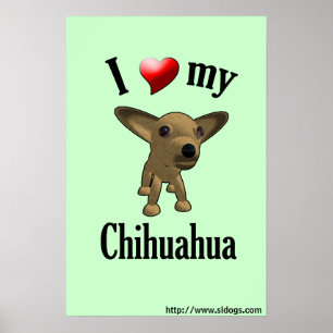 J'aime mon affiche de chiwawa