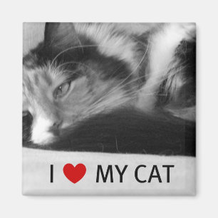 J'aime mon aimant de chat