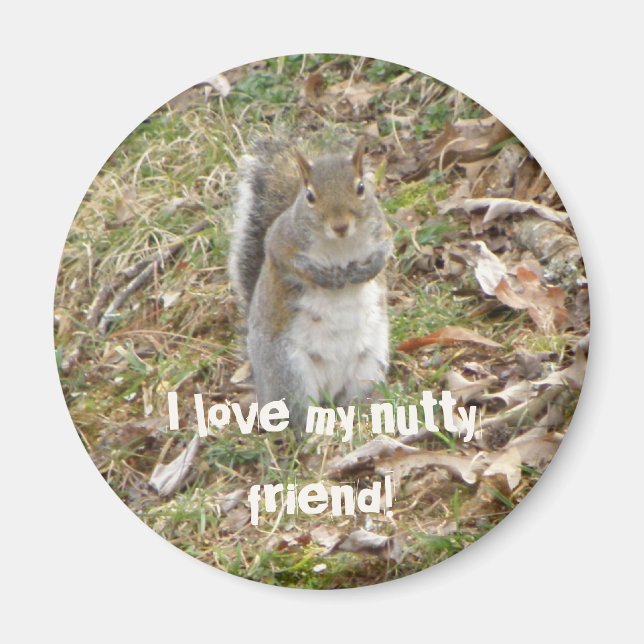 J'aime mon ami de la noix, Squirrel Magnet (Devant)