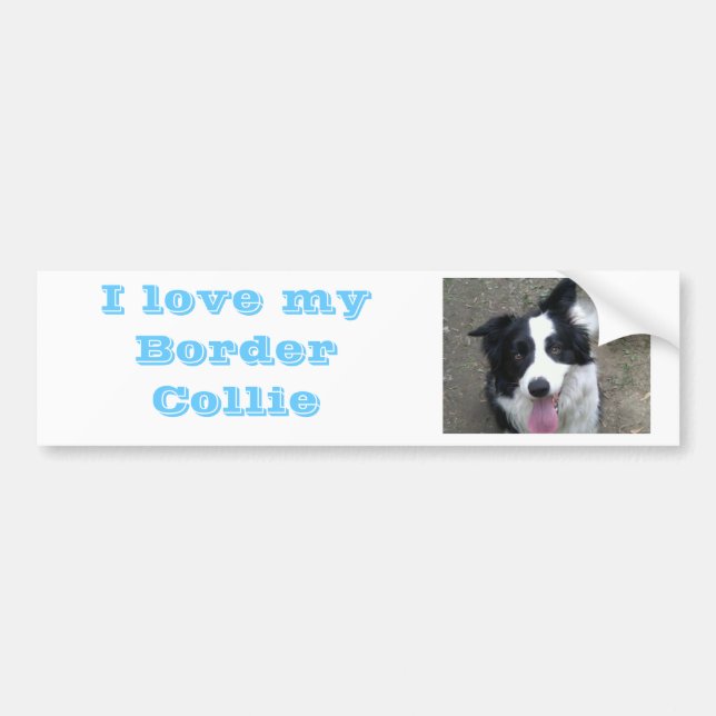 J'aime mon autocollant de border collie Bumber (Devant)