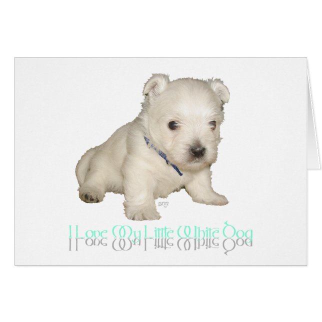 J'Aime Mon Petit Chien Blanc - Chien De Chien West (Devant horizontal)