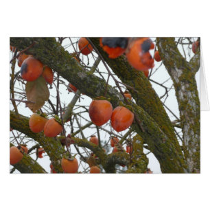 "J'aime sure traîner avec vous. "