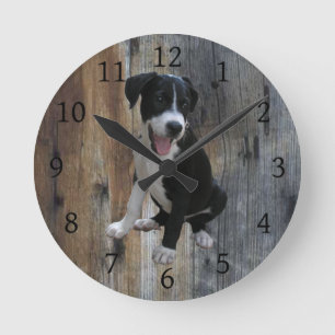 Jake the Farm Hund mit Barnwood Hintergrund Runde Wanduhr