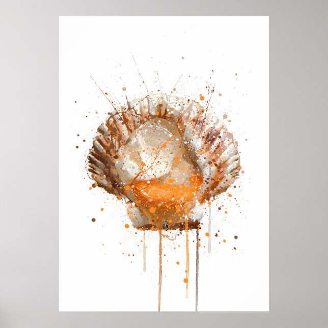 Jakobsmuschel Poster (Vorne)
