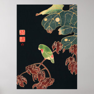 Jakuchu - Der Sittich Poster