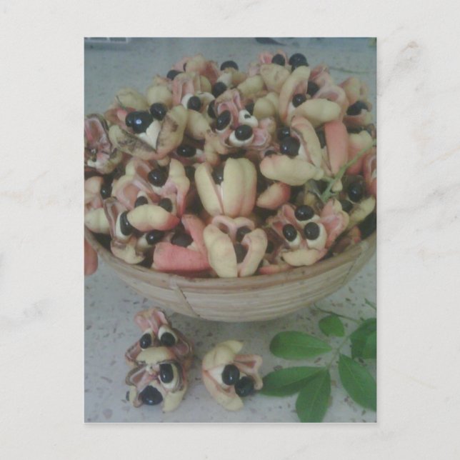 Jamaican Ackee Postcard Postkarte (Vorderseite)