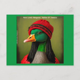 Jamaican Flying Reggae Mongoose Goose Funny Postkarte