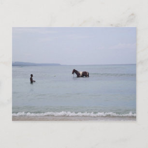 Jamaika-Postkarte Postkarte