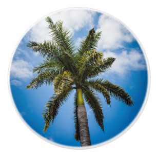 Jamaikanische Palme Keramikknauf
