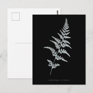 Jamaikanischer Goldfarn, Gymnogramma Sulphurea Postkarte