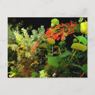 Jamaikanischer Nachtgarten Postkarte