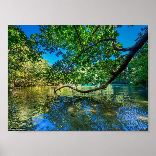 Jamaikas blaue Lagune, Port Antonio Poster (Vorne)