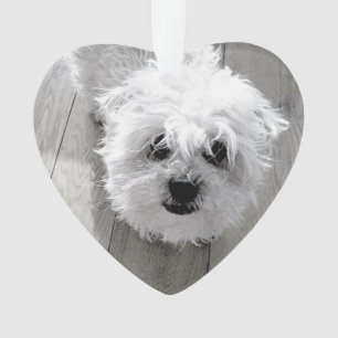 JAMAIS DANS NOS COEURS Pet Memorial PHOTO Keepsaké