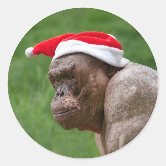 Jambo in einem Weihnachtshut Runder Aufkleber (Vorderseite)
