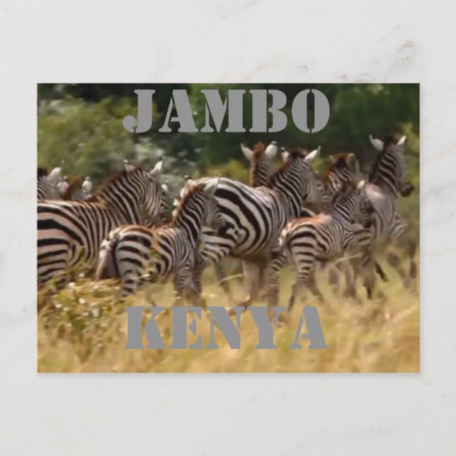 Jambo Kenya Zebra Migration Safari Postkarten (Vorderseite)