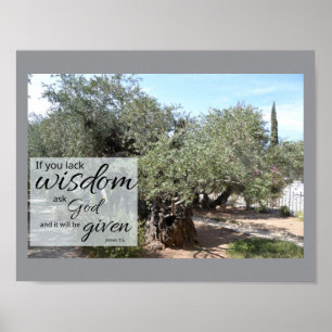 James 1:5 Poster Druck Gottes Weisheit