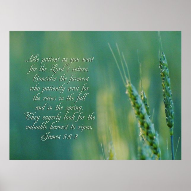 James 5:6-8 Beharrlichkeit Inspiration Poster (Vorne)