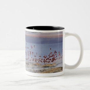 James Flamingo, Phoenicoparrus jamesi Zweifarbige Tasse