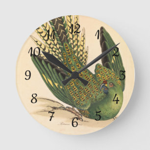 James Sowerby Bodensittich, Psittacus terrestris  Runde Wanduhr
