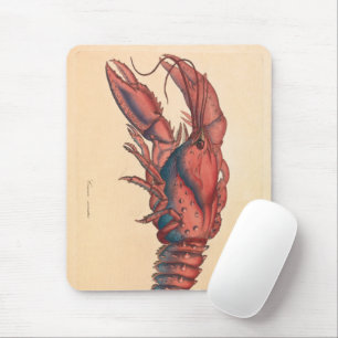 James Sowerby Gezahnte Languste Mousepad