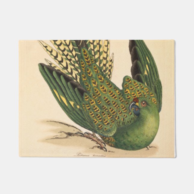 James Sowerby Ground Parrot, Psittacus terrestris Fußmatte (Vorderseite)