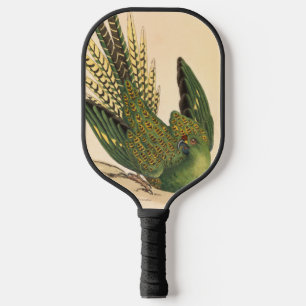 James Sowerby Ground Parrot, Psittacus terrestris Pickleball Schläger