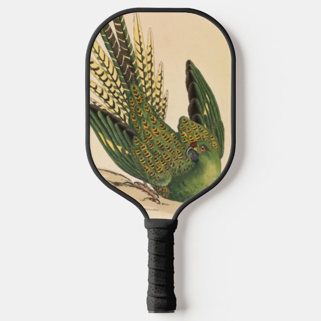 James Sowerby Ground Parrot, Psittacus terrestris Pickleball Schläger (Vorderseite)