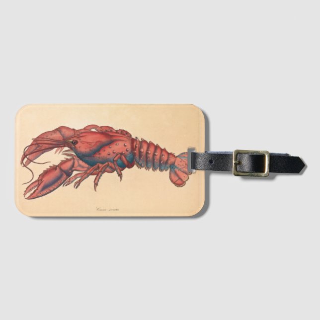 James Sowerby Serrated Lobster Gepäckanhänger (Vorderseite (Horizontal))