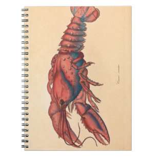 James Sowerby Serrated Lobster Notebook Notizblock