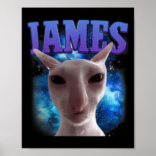 James The Cat Meme Funny Albern Cats Brainrot Meme Poster