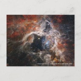 James Webb Tarantula Nebula Hi-Res Image 2022 Postkarte