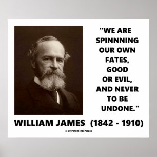 James zitiert unser Schicksal selbst gut oder böse Poster