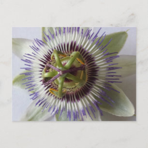 Jan 1 - Erziehungsbrainfart Postkarte
