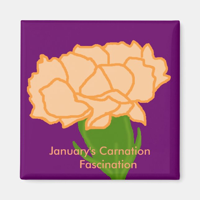 Jan Carnation Fascination Magnet (Vorne)