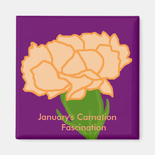 Jan.-Gartennelke Faszinationsmagnet Magnet