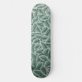 Jane Austen's Home Wallpaper Skateboard