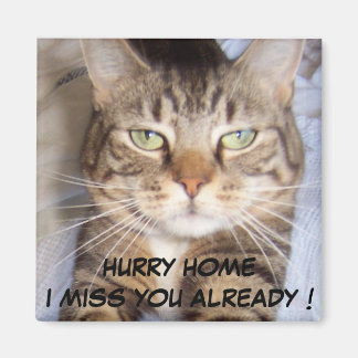 Jane sagt.. HURRY ZUHAUSE, ICH FEHLE DICH BEREITS. Magnet