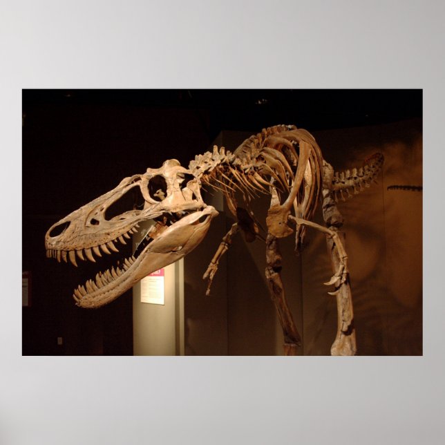 Jane - View #6 Poster (Vorne)