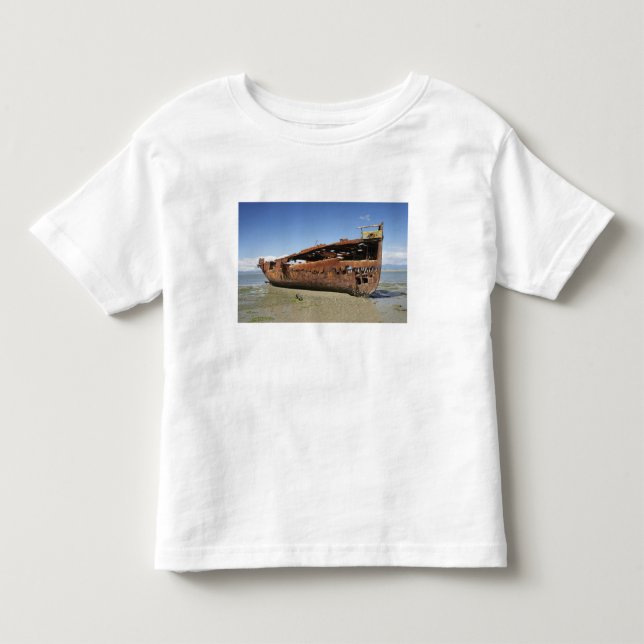 Janie Seddon Shipwreck, Motueka, Nelson Kleinkind T-shirt (Vorderseite)