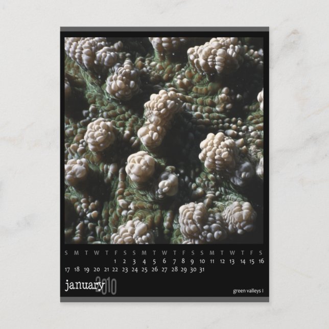 Januar 2010 Kalender Postkarte (Vorderseite)