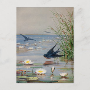 Januar   Fidelia Bridges Postkarte