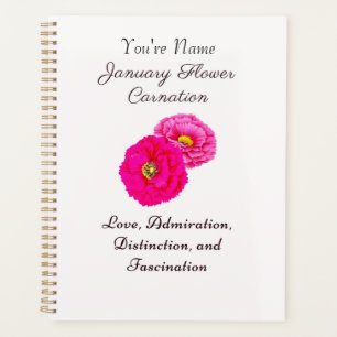 Januar Geburtsmonat Blume Wallfahrtskirche Madonna Planer