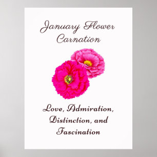 Januar Geburtsmonat Blume Wallfahrtskirche Madonna Poster