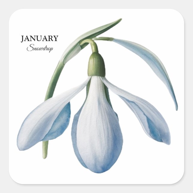 Januar Snowdrop Bloom - Personalisiertes Geschenk Quadratischer Aufkleber (Vorderseite)