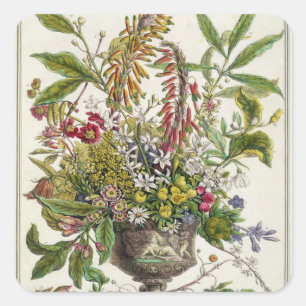 Januar, vom ` zwölf Monate Blumen Quadratischer Aufkleber