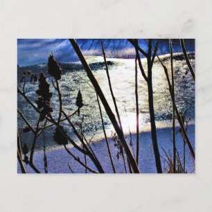 Januarsonne auf Eis Schnee Sumach Naturmuster Postkarte