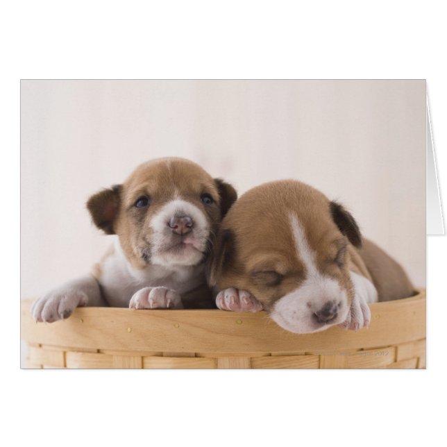 Japan (Vorderseite (Horizontal))