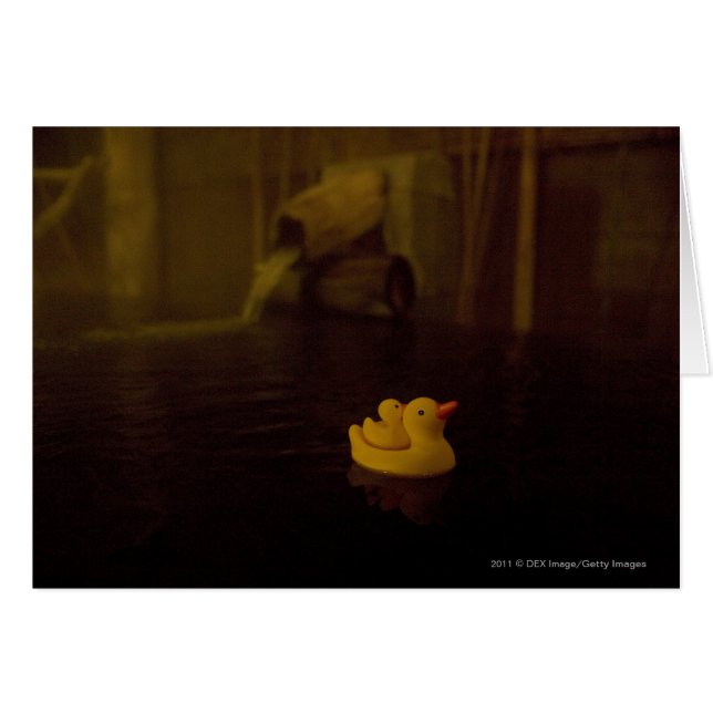 Japan (Vorderseite (Horizontal))