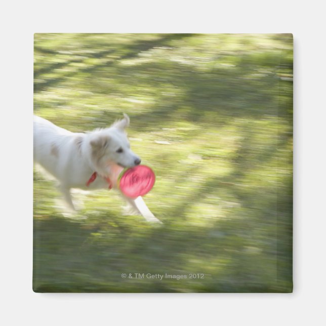 Japan 2 magnet (Vorne)